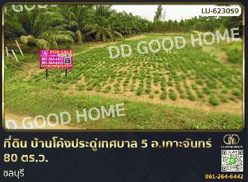 ที่ดิน บ้านโค้งประดู่เทศบาล 5 อ.เกาะจันทร์ 80 ตร.ว. ชลบุรี