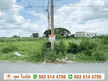 ที่ดิน 50 ตร.ว ซอย หล่อพระ ถนนบางกรวย-ไทรน้อย