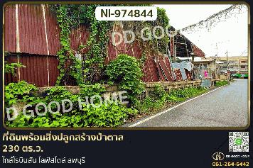 NI-974844 ที่ดินพร้อมสิ่งปลูกสร้างป่าตาล 230 ตร.ว. ลพบุรี ใกล้โรบินสัน ไลฟ์สไตล์ ลพบุรี