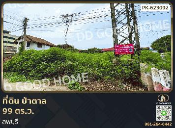 ที่ดิน ป่าตาล 99 ตร.ว. ลพบุรี