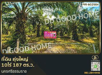 ที่ดิน ทุ่งใหญ่ 10 ไร่ 187 ตร.ว. นครศรีธรรมราช