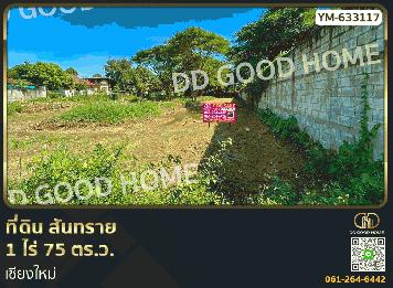 ที่ดิน สันทราย 1 ไร่ 75 ตร.ว. เชียงใหม่