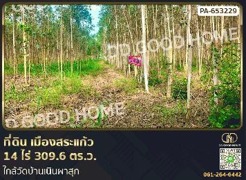 ที่ดิน เมืองสระแก้ว 14 ไร่ 309.6 ตร.ว. ใกล้วัดบ้านเนินผาสุก