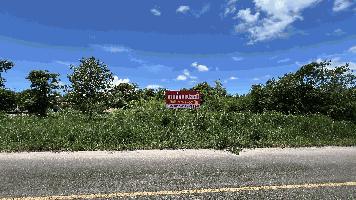 ขายที่ดิน อ.สวนผึ้ง จ.ราชบุรี ใกล้วัดหนองหมี ต.ท่าเคย 10-1-67 ตร.ว.