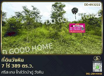 ที่ดินวังหิน 7 ไร่ 389 ตร.ว. ศรีสะเกษ ใกล้วัดป่าดู่ วังหิน