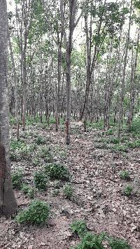 ขายที่ดินพร้อมสิ่งปลูกสร้าง ติดถนน ทำเลทอง  จังหวัดประจวบคีรีขันธ์