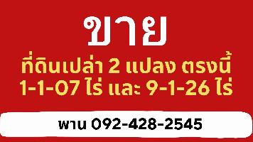 ขายที่ดินเปล่า 2 แปลงติดกัน อำเภอวังน้อย จ.อยุธยา 