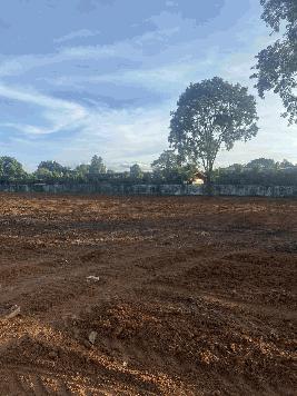 ขายที่ดิน ทำเลดี ถมแล้ว ติดถนนใหญ่  อำเภอประจันตคาม จังหวัดปราจีนบุรี (เจ้าของขายเอง)