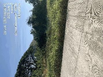 ขายด่วนที่ดินลพบุรี