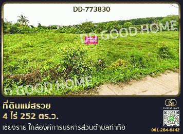 ที่ดินแม่สรวย 4 ไร่ 252 ตร.ว. เชียงราย ใกล้องค์การบริหารส่วนตำบลท่าก๊อ