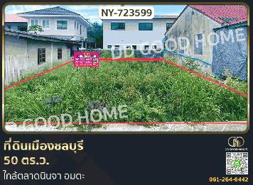 ที่ดินเมืองชลบุรี 50 ตร.ว. ใกล้ตลาดนินจา อมตะ