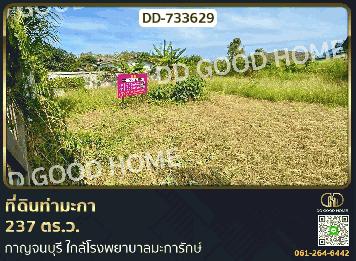 ที่ดินท่ามะกา 237 ตร.ว. กาญจนบุรี ใกล้โรงพยาบาลมะการักษ์