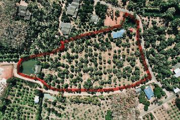 ขายที่ดิน สวนทุเรียนสวย ทำเลดี ใกล้หาดแม่พิมพ์  จ.ระยอง