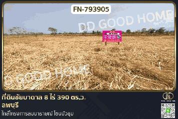 FN-793905 ที่ดินชัยบาดาล 8 ไร่ 390 ตร.ว. ลพบุรี ใกล้โครงการลมนารายณ์ โซนบัวชุม