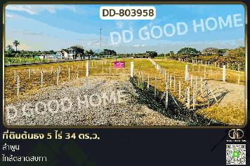 DD-803958 ที่ดินต้นธง 5 ไร่ 34 ตร.ว. ลำพูน ใกล้ตลาดสบทา