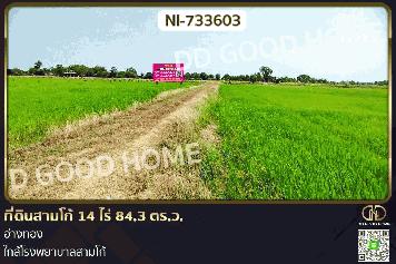 NI-733603 ที่ดินสามโก้ 14 ไร่ 84.3 ตร.ว. อ่างทอง ใกล้โรงพยาบาลสามโก้