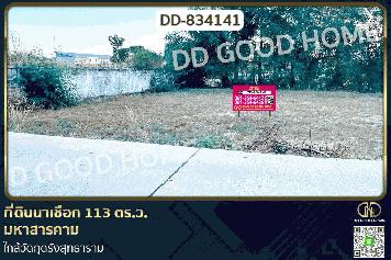DD-834141 ที่ดินนาเชือก 113 ตร.ว. มหาสารคาม ใกล้วัดกุดรังสุทธาราม