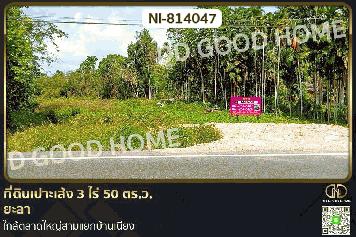 NI-814047 ที่ดินเปาะเส้ง 3 ไร่ 50 ตร.ว. ยะลา ใกล้ตลาดใหญ่สามแยกบ้านเนียง