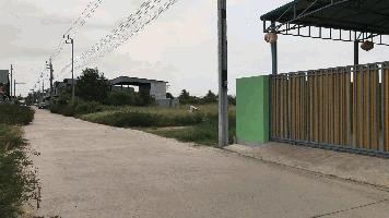 ขายที่ดินเปล่าถมแล้ว  ต.ราษฎร์นิยม อ.ไทรน้อย จ.นนทบุรี