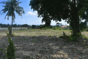 ขายที่สวยทำเลทอง ตำบลสัตหีบห้วยใหญ่ อำเภอบางละมุง จังหวัดชลบุรี 