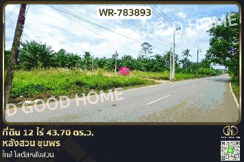 WR-783893 ที่ดิน 12 ไร่ 43.70 ตร.ว. หลังสวน ชุมพร ใกล้ โลตัสหลังสวน
