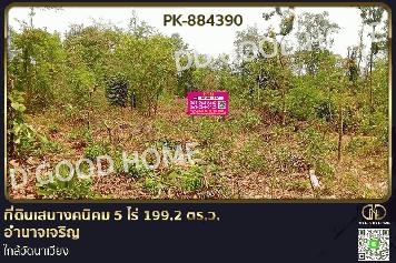 PK-884390 ที่ดินเสนางคนิคม 5 ไร่ 199.2 ตร.ว. อำนาจเจริญ ใกล้วัดนาเวียง