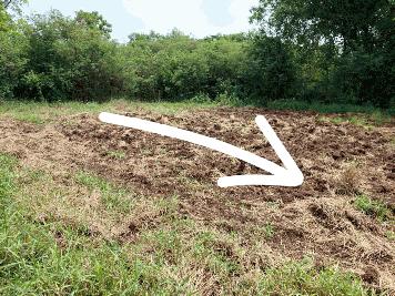 ขายด่วนที่ดินเปล่า ทำเลทอง  อำเภอโชคชัย จังหวัดโคราช