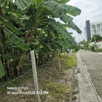 ขายที่ดินทำเลชินเขต 1 เหมาะสร้างบ้านเดี่ยว ออฟฟิศ ทาวน์โฮม หอพัก หรือเก็งกำไรในอนาคต พื้นที่ 200 ตรว ซอยงามวงศ์วาน 43 แยก 2-7