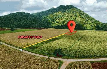 ขายที่ดินทำเลทอง ต.เขาชายธง อ.ตากฟ้า จ.นครสวรรค์