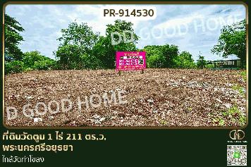 WR-914530 ที่ดินวัดตูม 1 ไร่ 211 ตร.ว. พระนครศรีอยุธยา ใกล้วัดท่าโขลง