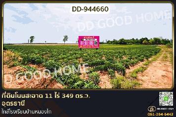 DD-944660 ที่ดินโนนสะอาด 11 ไร่ 349 ตร.ว. อุดรธานี ใกล้โรงเรียนบ้านหนองโก