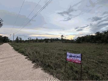 ขายที่ดินติดถนน 2 ด้าน ทำเลทอง 15 ไร่ ราคาถูก อำเภอม่วงสามสิบ จังหวัดอุบลราชธานี