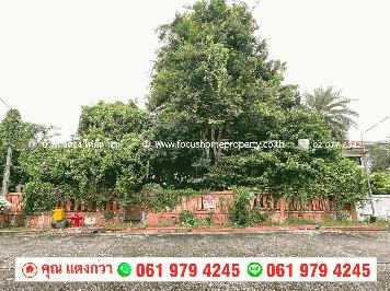 ขาย ที่ดิน 128.4 ตารางวา หมู่บ้านพัชรวิลล์ บางใหญ่