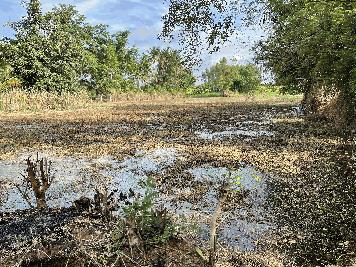 ขายที่ดิน 2 ไร่ ทำเลดี อำเภอครบุรี จังหวัดนครราชสีมา