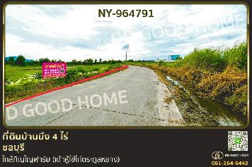 NY-964791 ที่ดินบ้านบึง 4 ไร่ ชลบุรี ใกล้ภิญโญฟาร์ม (เต้าหู้ไข่ไก่ตระกูลหยาง)