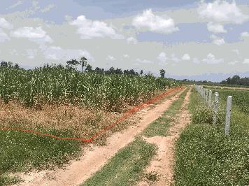 ขายที่ดินเปล่า บ้านหนองแวงเหนือ  มี4 แปลง ตำบลภูปอ เมืองกาฬสินธุ์ จังหวัดกาฬสินธุ์