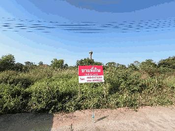 ขายที่ดินเปล่า เเปลงสวย ทำเลทอง  อำเภอเมือง จังหวัดพิษณุโลก