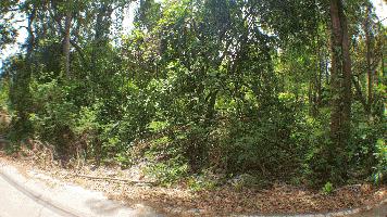 ขายที่ดินเปล่า ในบางไผ่ เมืองนนทบุรี ติดวัดสังฆทาน เนื้อที่ 2 ไร่ 45 ตร.วา (845 ตารางวา)