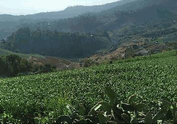 ขายที่ดินโฉนด 2 ไร่ บรรยากาศดี วิวที่สวยงามที่สุดของ อ.ปาย ใกล้แหล่งท่องเที่ยว รีสอร์ต ชุมชน 9 นาทีจากภูริปายรีสอร์ต  ห่างจากวัดม่วงสร้อยเพียง 100 เมตร พิกัด อ.ปาย จ.แม่ฮ่องสอน