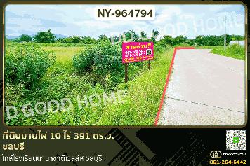 NY-964794 ที่ดินมาบไผ่ 10 ไร่ 391 ตร.ว. ชลบุรี ใกล้โรงเรียนนานาชาติเวลล์ส ชลบุรี