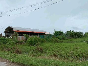 ขายที่ดินเปล่า ทำเลดี อำเภอกาญจนดิษฐ์ จังหวัดสุราษฎร์ธานี