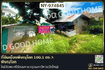 NY-974845 ที่ดินเมืองพิษณุโลก 100.1 ตร.ว. พิษณุโลก ใกล้วัดพระศรีรัตนมหาธาตุวรมหาวิหาร(วัดใหญ่)