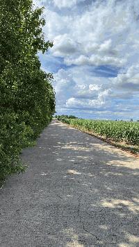 ขายที่ดินเปล่า ทำเลดี  ต.หนองกุ่ม อ.บ่อพลอย จ.กาญจนบุรี