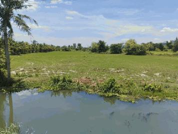 ขายที่ดิน ทำเลดี ติดถนน  ต.เกาะพลับพลา อ.เมือง  จ.ราชบุรี