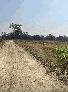 ขายที่ดิน 15 ไร่ ทำเลดี ติดกองบิน 4 ตาคลี เข้า ออกสะดวก น้ำไม่ท่วม