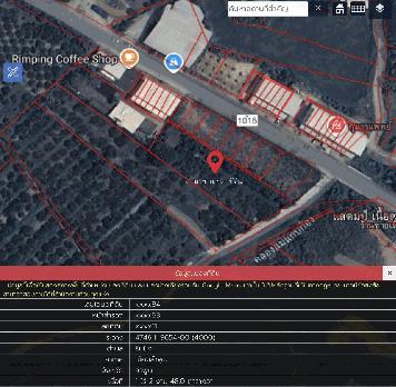 ขายที่สวนลำใย ทำเลดี ติดถนน  ต.ริมปิง อ.เมืองลำพูน จ.ลำพูน