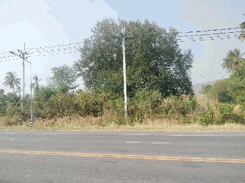 ขายที่ดินสวย ทำเลทอง ติด 4 เลน ตากฟ้า นครสวรรค์