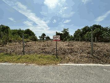 ขายที่ดิน 1 ไร่ 3 งาน ถมแล้ว ที่สวย บรรยากาศดี ร่มรื่น เงียบสงบ  ปลอดภัย ใกล้แหล่งท่องเที่ยว ใกล้ชุมชน OTOP 