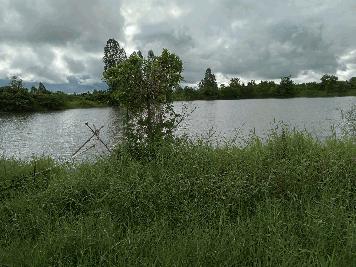 ขายที่ดินสวย เนื่อที่ 14ไร่ 3งาน22ตารางวาอ.เมือง จ.ขอนแก่น