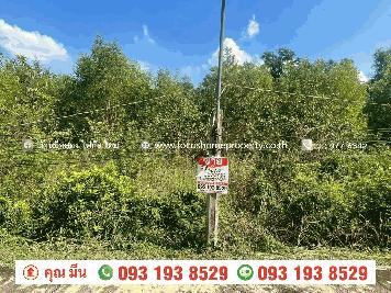 ขาย ที่ดินเปล่า เชียงรากน้อย 17 บางปะอิน